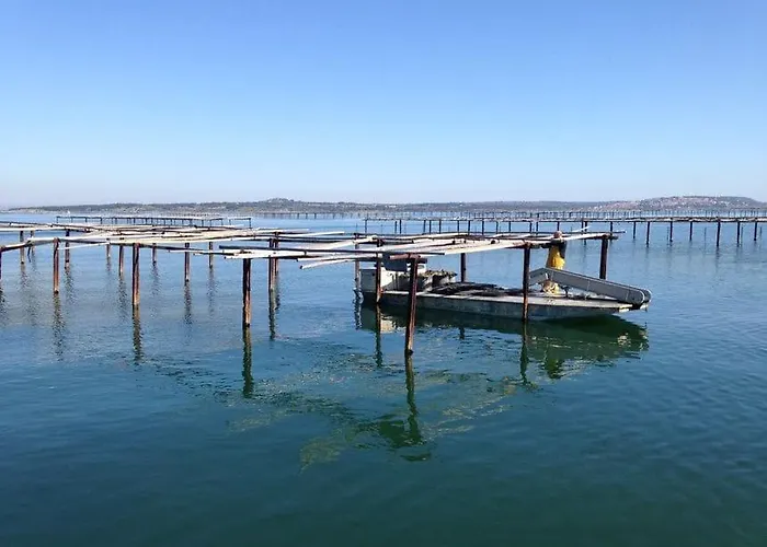 Daire T3 Cosy A 2 Pas De La *