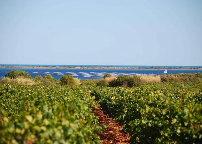 T3 Cosy A 2 Pas De La Corbere-les-Cabanes